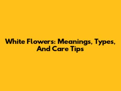 White Flowers: Meanings, Types, And Care Tips