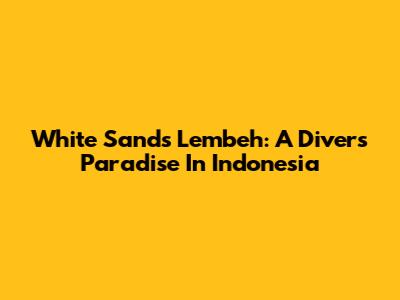 White Sands Lembeh: A Diver's Paradise In Indonesia