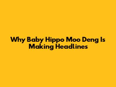 Why Baby Hippo Moo Deng Is Making Headlines