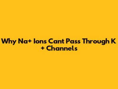 Why Na+ Ions Can't Pass Through K+ Channels