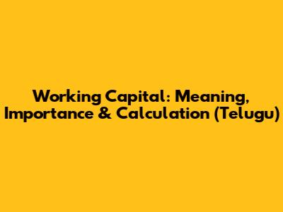 Working Capital: Meaning, Importance & Calculation (Telugu)