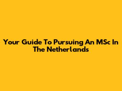 Your Guide To Pursuing An MSc In The Netherlands