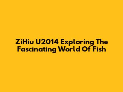 ZiHiu U2014 Exploring The Fascinating World Of Fish